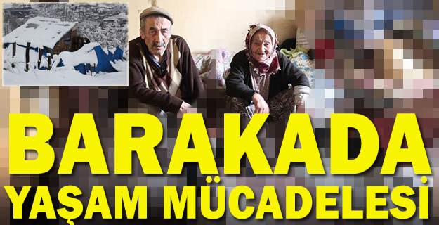Yaşlı kardeşler barakada yaşam mücadelesi veriyor