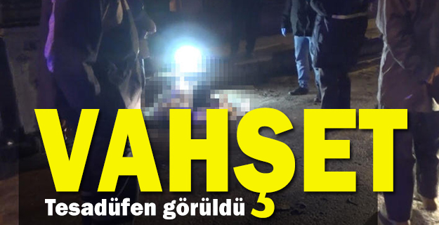 Hatay'da eli ayağı bağlı kadın cesedi şoku