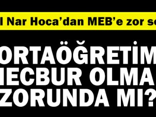 Cemal Nar Hoca yazdı: Ortaöğretim Mecbur Olmamalı