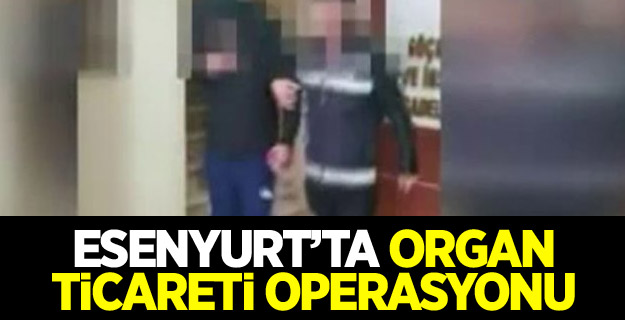 Esenyurt’ta organ ticareti operasyonu