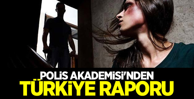 Polis Akademisi'nden Türkiye raporu