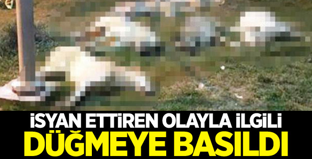 İsyan ettiren olayla ilgili düğmeye basıldı