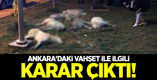 Ankara'daki vahşet ile ilgili karar çıktı!