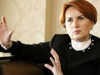 MHP'de Kapatılan Teşkilatlara Akşener Seferi