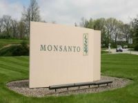 Monsanto'nun satılması taşları yerinden oynatacak