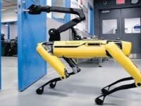 Dünya bu robotu konuşuyor! Bunu da yaptılar