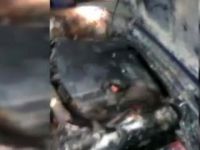 Bu nasıl insanlık! Canlı canlı motorun içine sokmuş