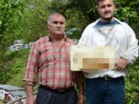 Görünce şaşkına döndüler! Arılar yazdı...