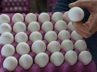 Yumurtanın kabuğunda yoksa bu numarayı arayın