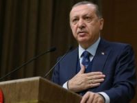 Erdoğan'ın 'garip senaryo' dediği ihtimal: 101. madde
