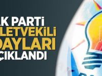 24 Haziran il il Ak Partili Milletvekili adayları tam liste, kim nereden aday oldu?