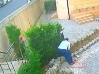 Cemaat namazdayken ağaç katliamı
