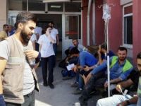 İzmir'de büyük panik! Sayı 700'e ulaştı