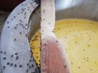 Kaşar peyniri imalathanesinde iğrenç görüntü!