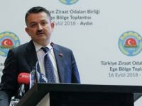 Müjdeyi Bakan açıkladı! Ödemeler artırılacak