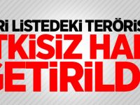 Gri listedeki terörist etkisiz hale getirildi!!