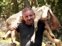 'Dünyanın en iyi koyun kırkımcısı' olmak istiyor