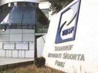 TMSF, 9 şirketi tasfiye ediyor