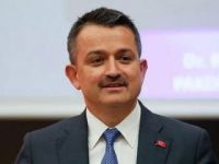 Bakan Pakdemirli'den fındık açıklaması
