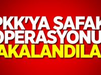 PKK'ya şafak operasyonu! Yakalandılar