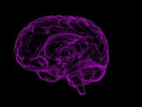 Alzheimer'la savaşta en büyük yardıcınız bu besinler