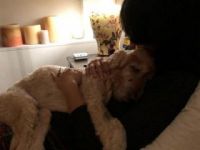 Oyuncu Başak Sayan köpeğinin öldüğünü böyle duyurdu