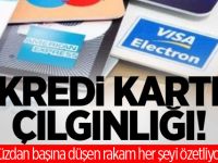 Cüzdanlarda ortalama 2,2 kredi kartı bulunuyor