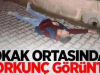 Sokak ortasından korkunç görüntü!