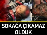 Daha kaç can yanacak!