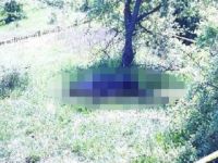 Katil avcı çıktı! Domuz sanarak öldürmüş
