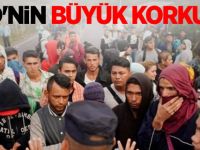 ABD'nin büyük korkusu! Yüzlerce kişi sınıra ulaştı