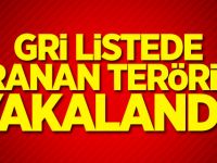 Gri listede aranan terörist yakalandı!