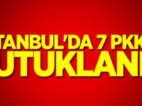 İstanbul'da 7 PKK'lı tutuklandı