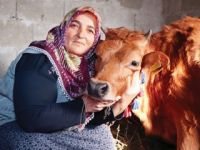 İyi ki doğdun Ayşegül!