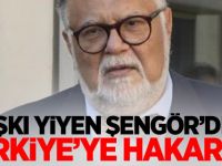 Celal Şengör'den Türkiye'ye hakaret!
