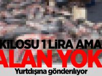 Kilosu 1 lira ama alan yok! Yurtdışına gönderiliyor