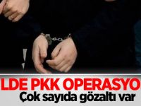 İki ilde PKK operasyonu! Çok sayıda gözaltı var
