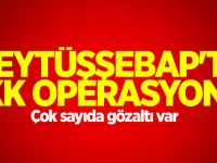 Beytüşşebap'ta PKK operasyonu!