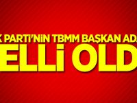 AK Parti'nin TBMM Başkan adayı belli oldu