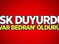 TSK duyurdu: 'Havar Bedran' öldürüldü