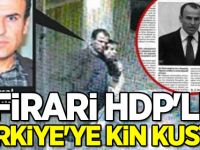 Firari HDP'li Türkiye'ye kin kustu!