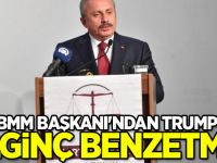TBMM Başkanı'ndan Trump’a ilginç benzetme