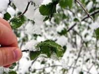 Meteoroloji'den DON uyarısı