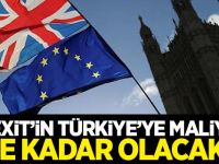 Brexit’in Türkiye’ye maliyeti 2.4 milyar dolar olacak