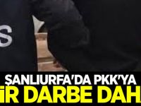 Şanlıurfa'da PKK'ya bir darbe daha