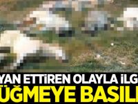 İsyan ettiren olayla ilgili düğmeye basıldı