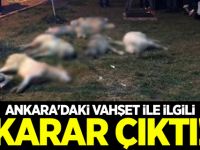 Ankara'daki vahşet ile ilgili karar çıktı!