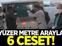 Van'da karlar eriyince ortaya çıkan 6 erkek cesedi bulundu