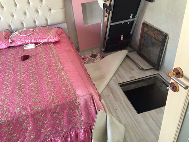 --8319870.jpeg --8319870.jpeg