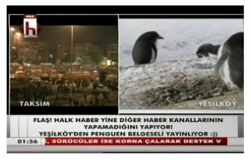 1-020.jpg